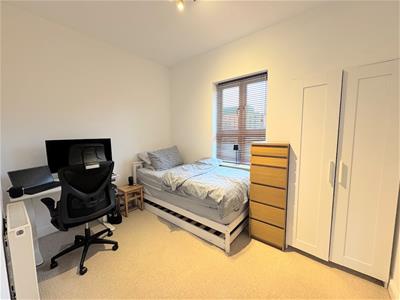 Picture 15